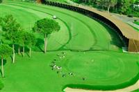 SUENO GOLF CLUB PINES  GOLF CLUB