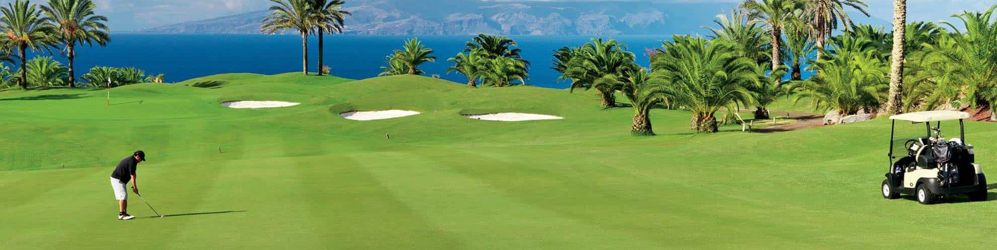 Golf Arrangement Landing Banner